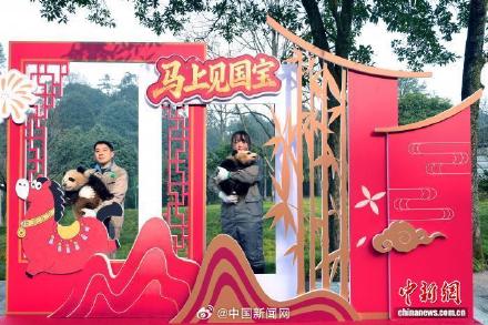 2025级大熊猫宝宝集体大拜年