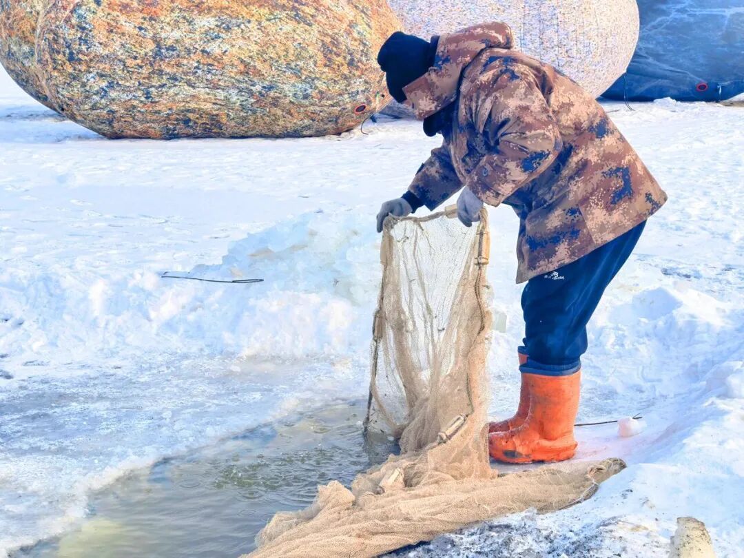 迎接马年春节，冰城景区放大招，年味直接拉满——