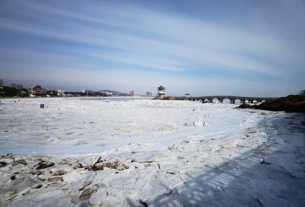 葫芦岛涌浪被定格为冰鳞 葫芦岛涌浪被定格为冰鳞