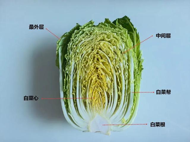 真的想问：北方人囤的几百斤白菜，吃完了吗？