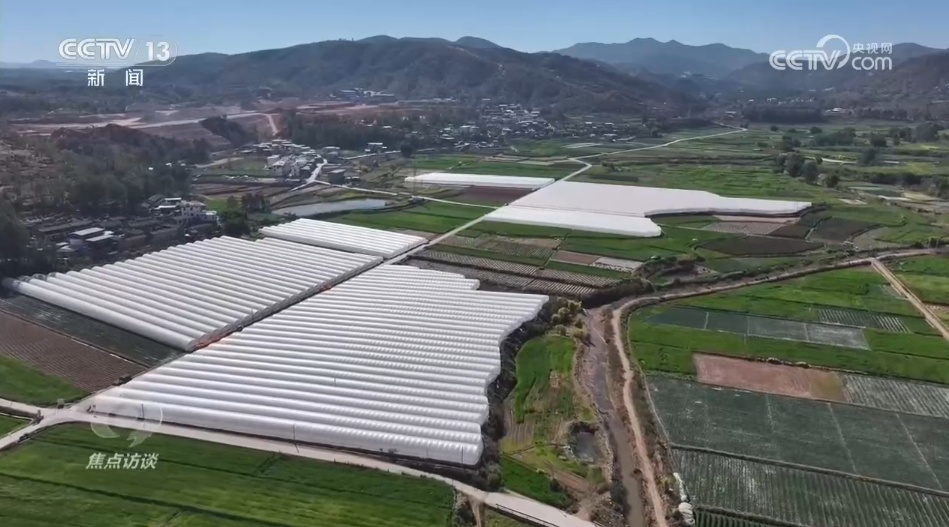 南菜北运丰富了“菜篮子” 鼓了“钱袋子”