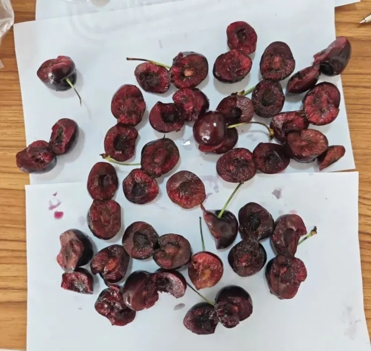 “新开箱的几乎全部腐烂！”最近价格跳水，很多人也踩雷了，网友：像在开盲盒