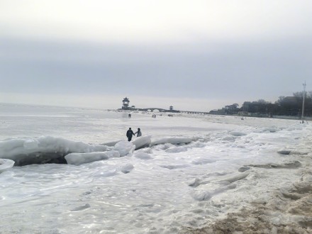 葫芦岛涌浪被定格为冰鳞 葫芦岛涌浪被定格为冰鳞