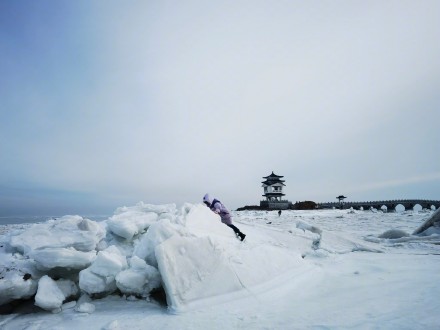 葫芦岛涌浪被定格为冰鳞 葫芦岛涌浪被定格为冰鳞