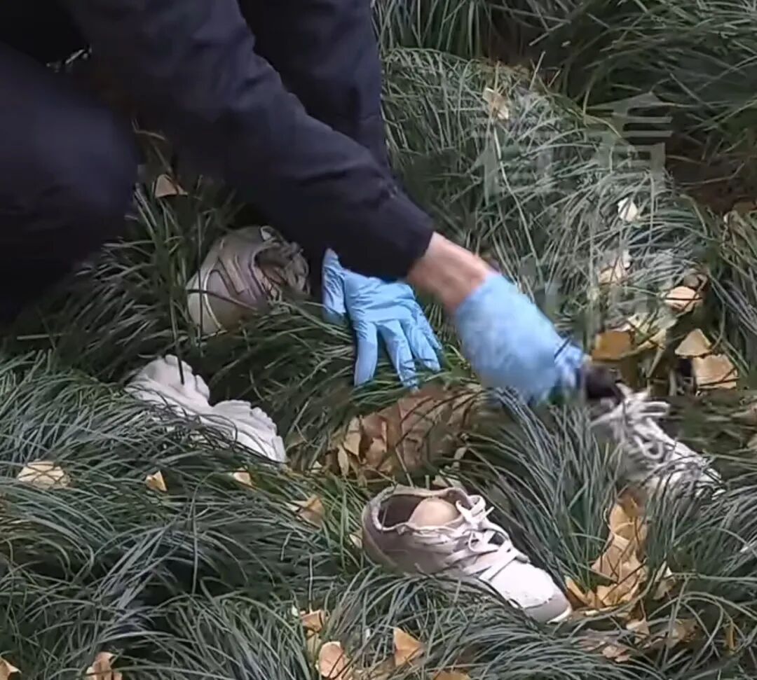 上海发生奇葩盗窃案,男子晚上偷偷潜入女子家中,唯独偷走10只旧鞋 上海发生奇葩盗窃案,男子晚上偷偷潜入女子家中,唯独偷走10只旧鞋