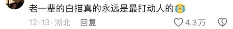 “人怎么可能对一块石头产生感情呢？除非……”