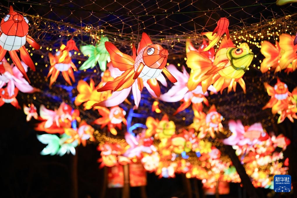 北京:2026圆明园新春灯会启幕 北京:2026圆明园新春灯会启幕