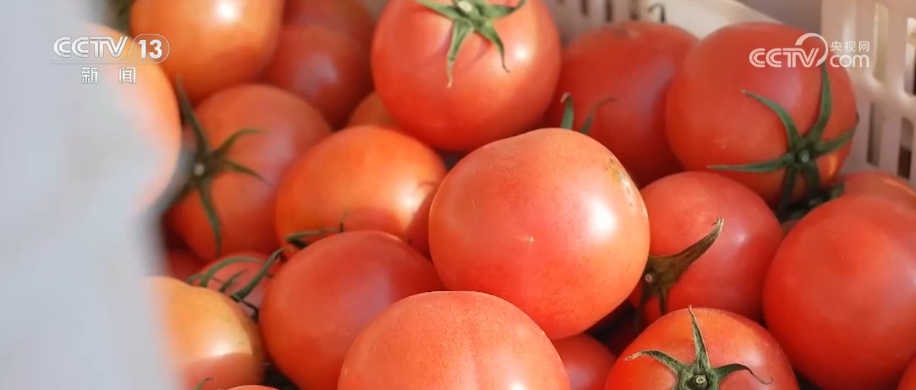 多举措保障春节“菜篮子”供应 价稳量丰满足百姓多样化消费需求