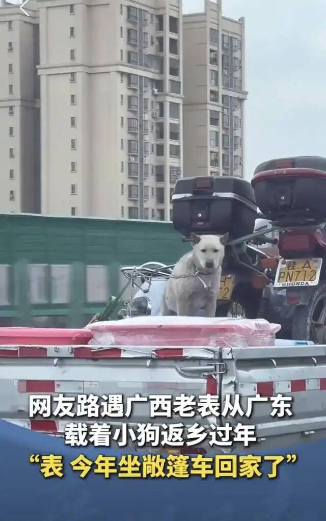 团圆，加载进度99%……