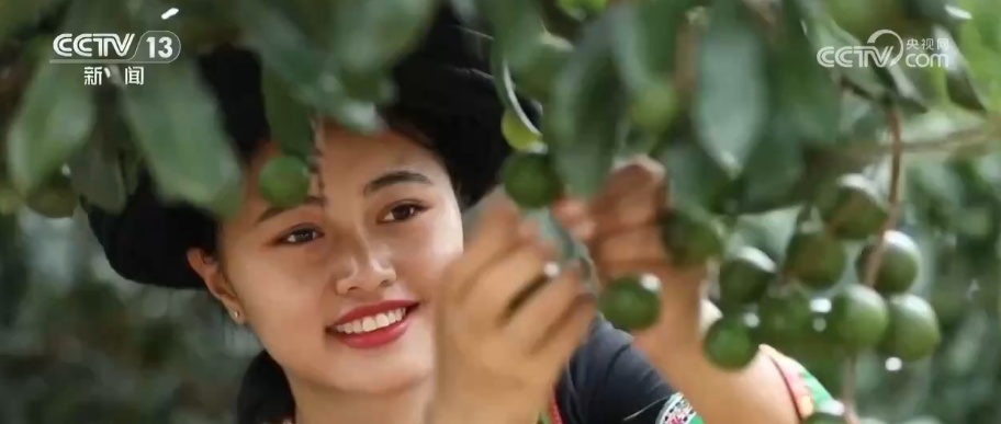 节前消费“新意”满满 “传统年货+现代科技”让年的味道更丰富 节前消费“新意”满满 “传统年货+现代科技”让年的味道更丰富