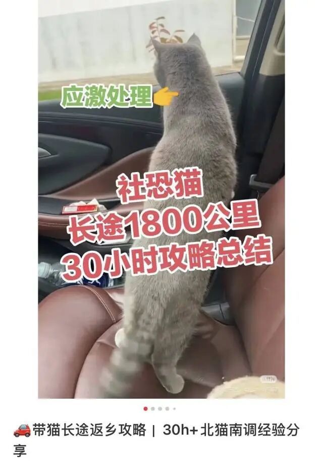 团圆，加载进度99%……