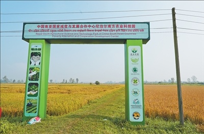 探访尼泊尔奇特旺县农村地区——“努力探索可持续的农业生产模式”