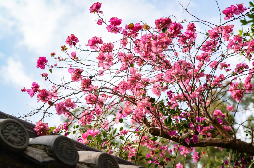 28.2℃，广东人紧急下单买短袖！下周有新冷空气