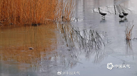 北京暖意渐浓奥森冰层逐渐消融