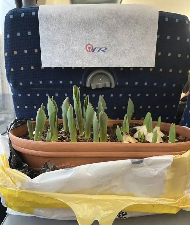 团圆，加载进度99%……