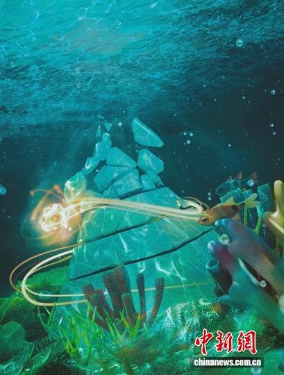 国际最新研究：珊瑚礁食物链较史前最多缩短70% 脆弱性正在增加