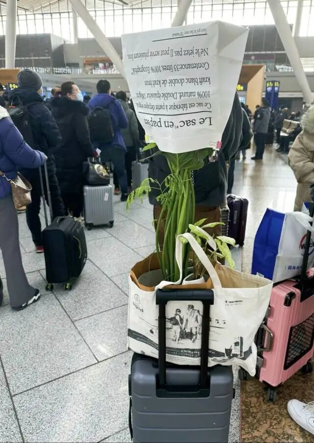 团圆，加载进度99%……