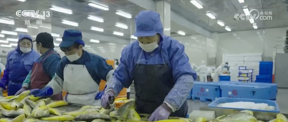 节前消费“新意”满满 “传统年货+现代科技”让年的味道更丰富 节前消费“新意”满满 “传统年货+现代科技”让年的味道更丰富