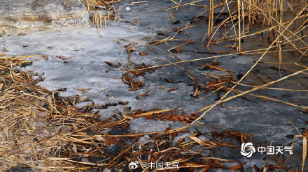 北京暖意渐浓奥森冰层逐渐消融