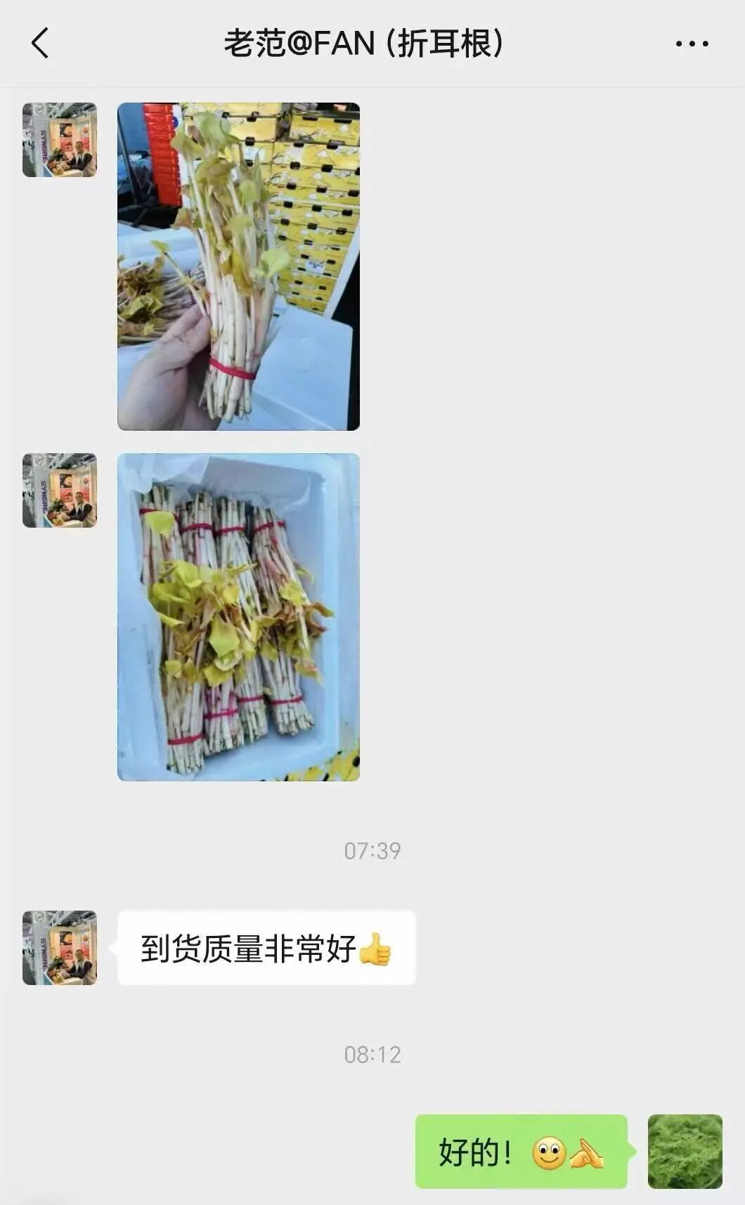 从成都到加拿大多伦多,折耳根出息了!“是国外消费者点名要吃的” 从成都到加拿大多伦多,折耳根出息了!“是国外消费者点名要吃的”