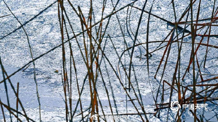 北京暖意渐浓奥森冰层逐渐消融