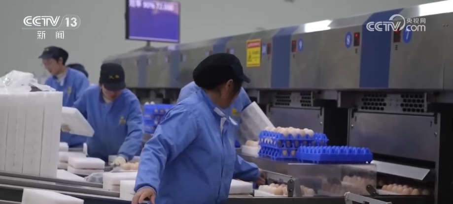 多举措保障春节“菜篮子”供应 价稳量丰满足百姓多样化消费需求