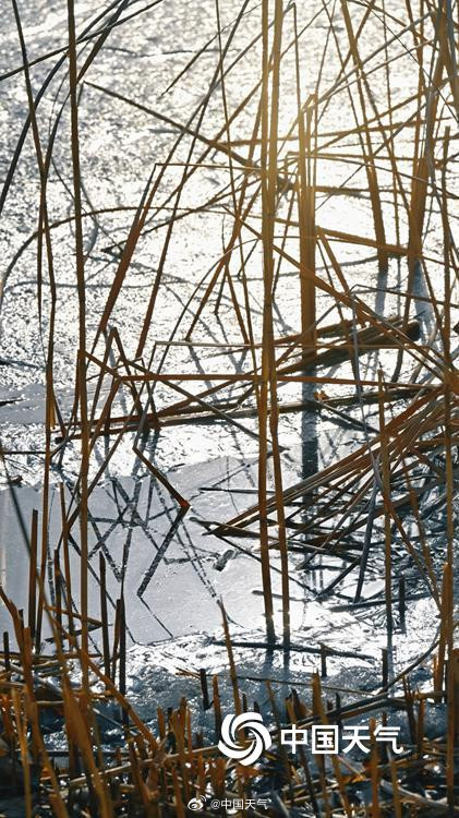 北京暖意渐浓奥森冰层逐渐消融