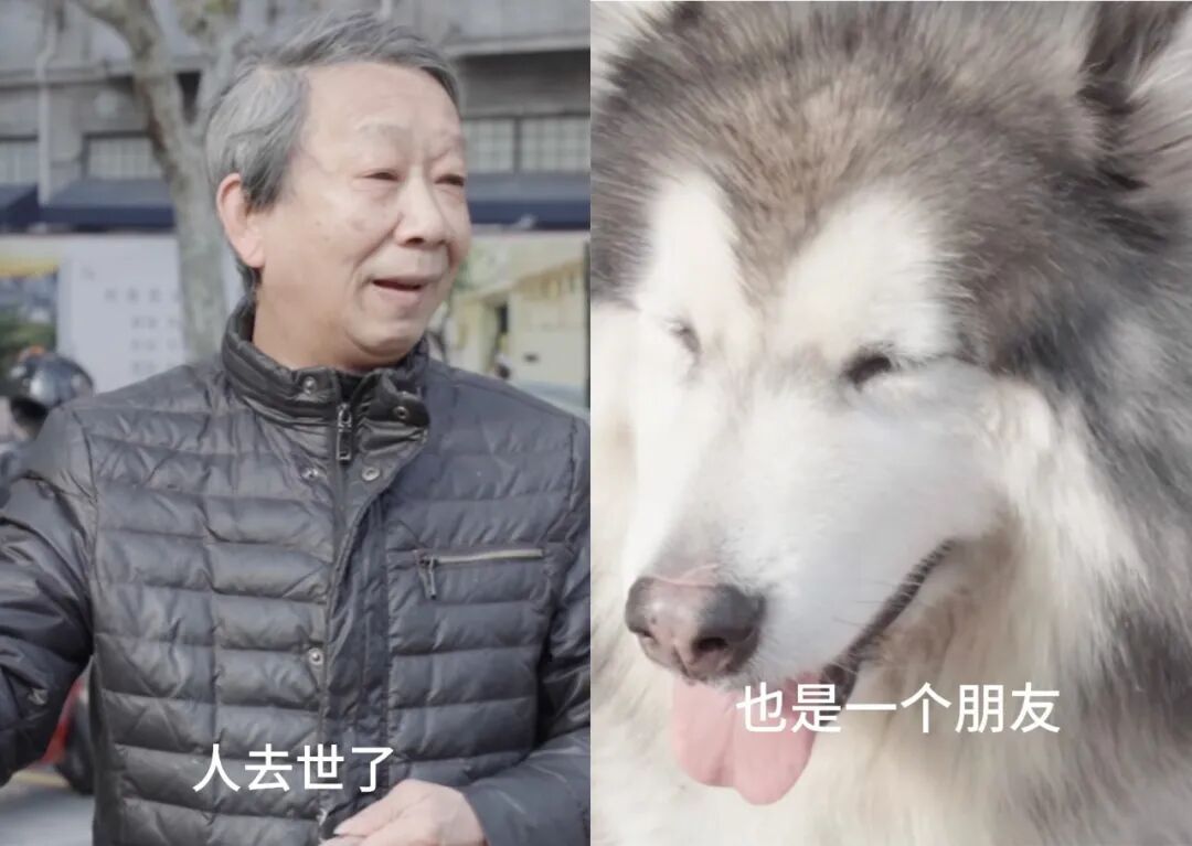 好友突然去世，上海爷叔继承“遗产”！网友看哭了：这是在托孤，爷叔太义气...