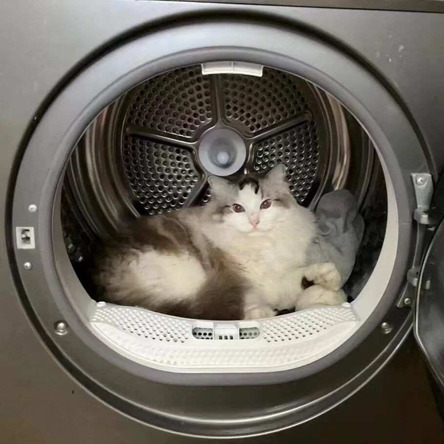 8天能赚上万元!杭州老板忙疯,有人提前2月预定,商家已停止接单 8天能赚上万元!杭州老板忙疯,有人提前2月预定,商家已停止接单