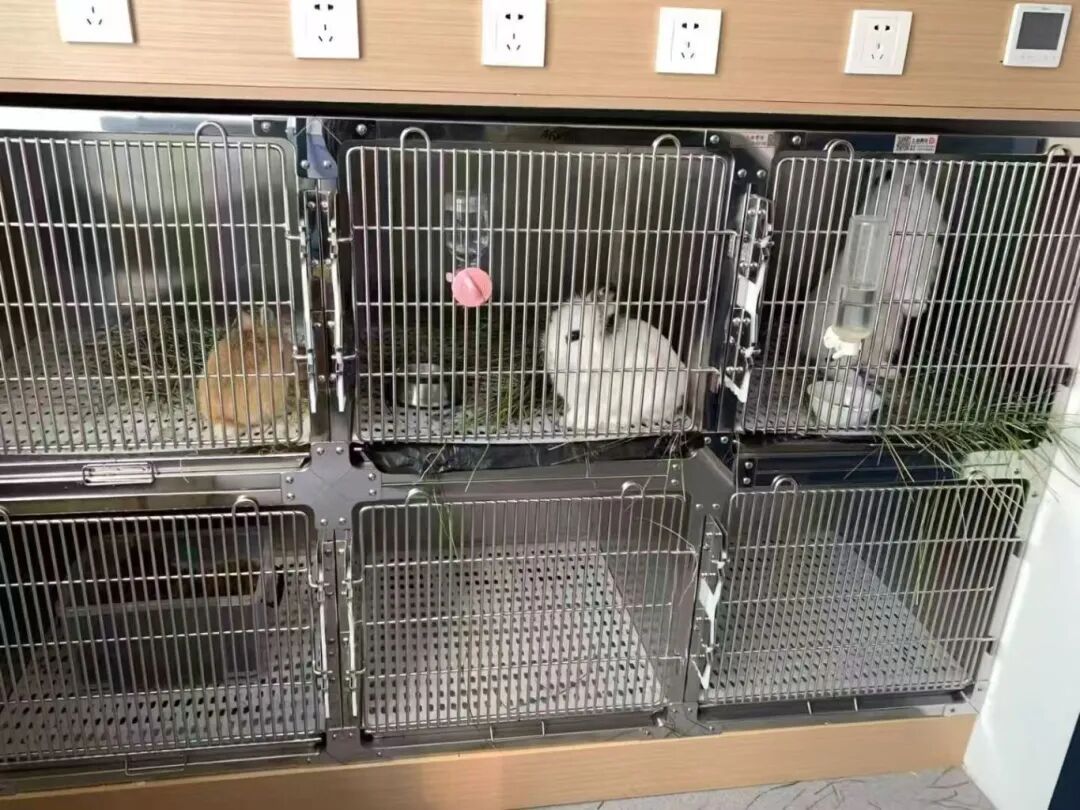 8天能赚上万元!杭州老板忙疯,有人提前2月预定,商家已停止接单 8天能赚上万元!杭州老板忙疯,有人提前2月预定,商家已停止接单