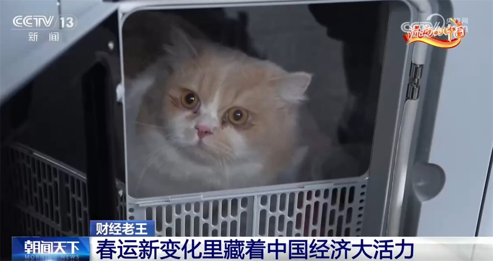 “交通枢纽”变身“消费引擎” 春运“新”变化拼出中国经济的活力与韧性