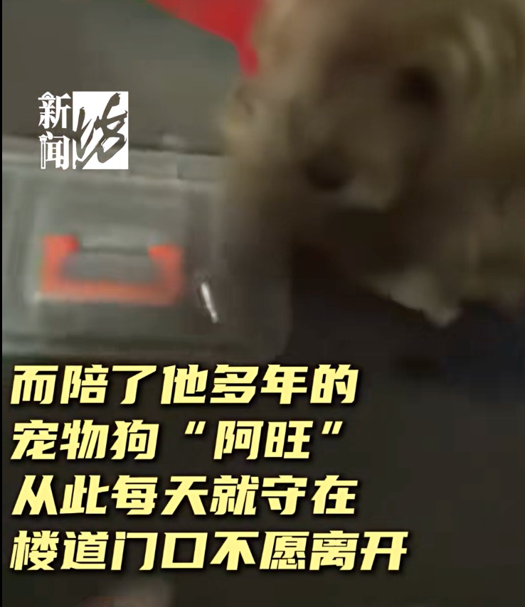 好友突然去世，上海爷叔继承“遗产”！网友看哭了：这是在托孤，爷叔太义气...