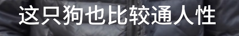 好友突然去世，上海爷叔继承“遗产”！网友看哭了：这是在托孤，爷叔太义气...