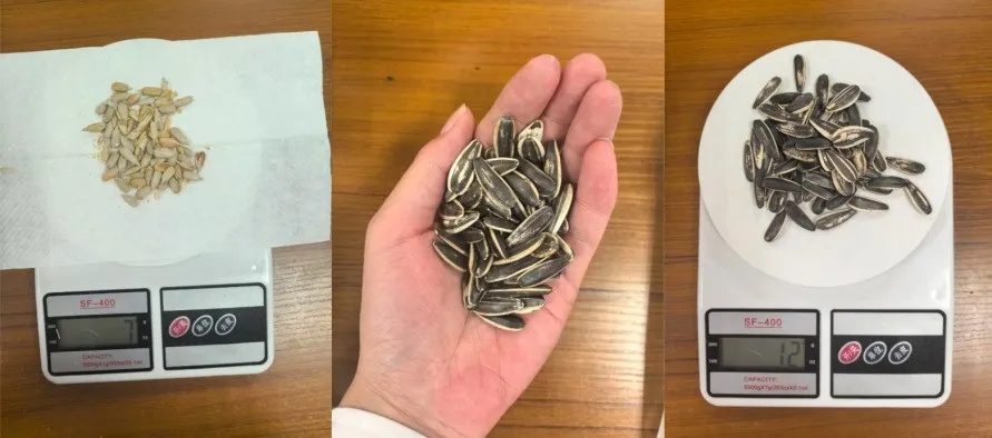 每天一小把,男子血脂超标10倍!很多广西人爱吃,医生紧急提醒→ 每天一小把,男子血脂超标10倍!很多广西人爱吃,医生紧急提醒→