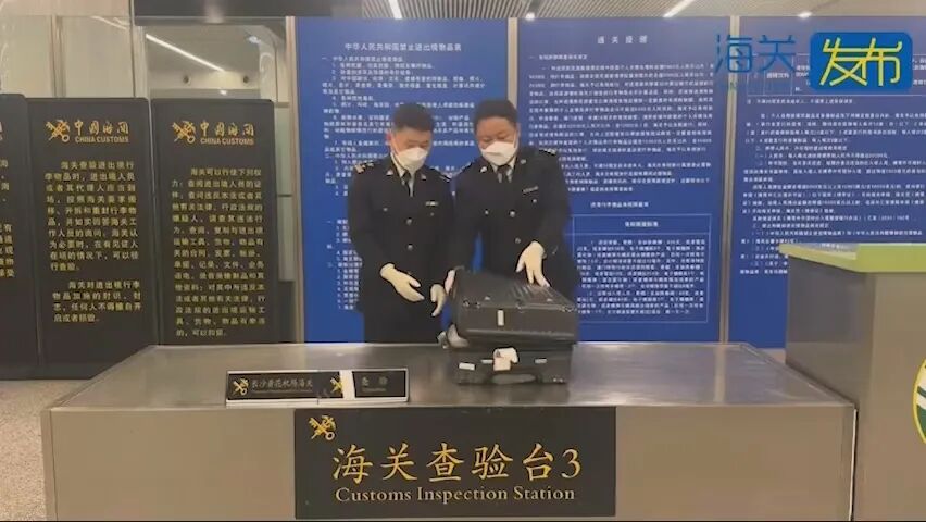 10斤老鼠肉干、酱汤泡蚂蚁卵等...当事人：都是自己吃的