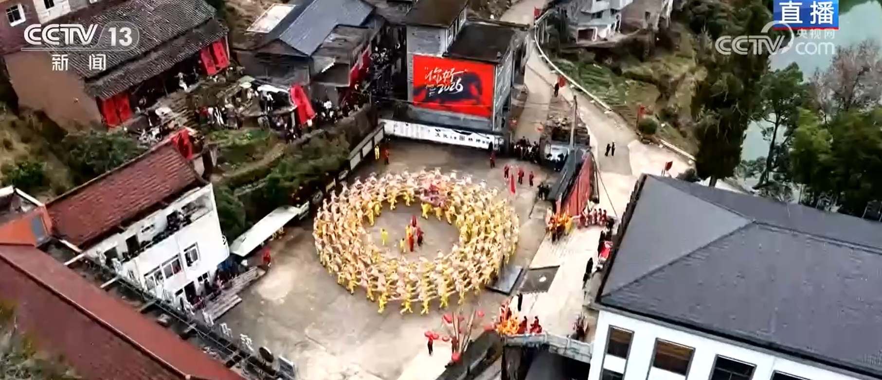 板凳龙舞起来、年货置起来、年宵花迎供应高峰 新年氛围愈发浓厚