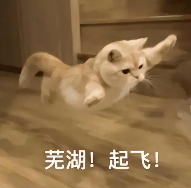 起飞失败!男子驾滑翔伞从高空坠落,差一点掉海里…… 起飞失败!男子驾滑翔伞从高空坠落,差一点掉海里……