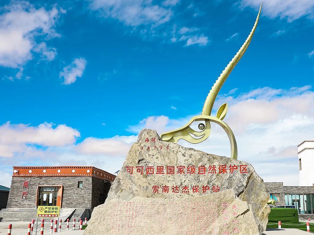 这就是《生命树》的现实版“续集” 这就是《生命树》的现实版“续集”