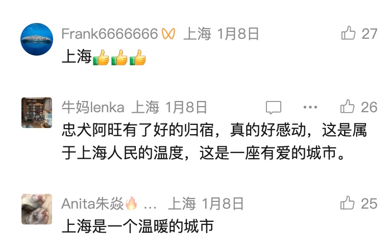 好友突然去世，上海爷叔继承“遗产”！网友看哭了：这是在托孤，爷叔太义气...