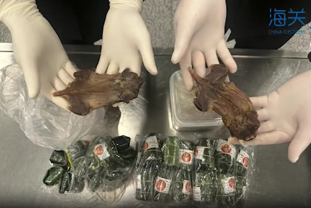 长沙机场海关在一行李中发现10斤老鼠肉干、酱汤泡蚂蚁卵！旅客：用来吃的