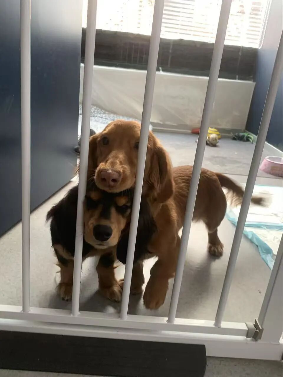 8天能赚上万元!杭州老板忙疯,有人提前2月预定,商家已停止接单 8天能赚上万元!杭州老板忙疯,有人提前2月预定,商家已停止接单