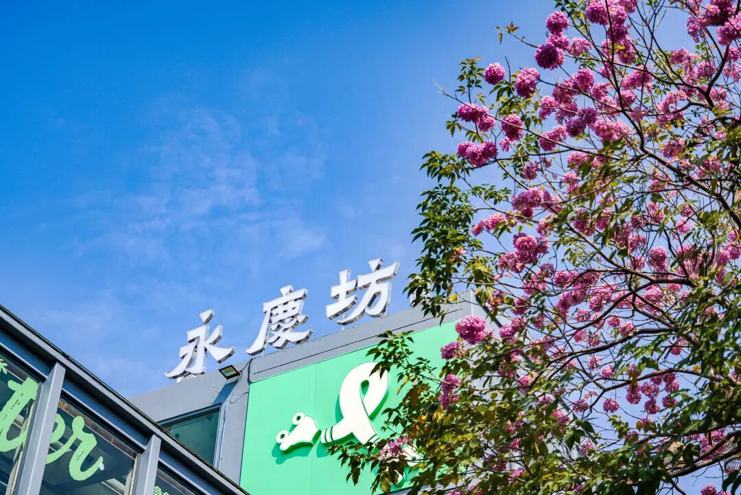 春节广东还有2波冷空气，还下雨！