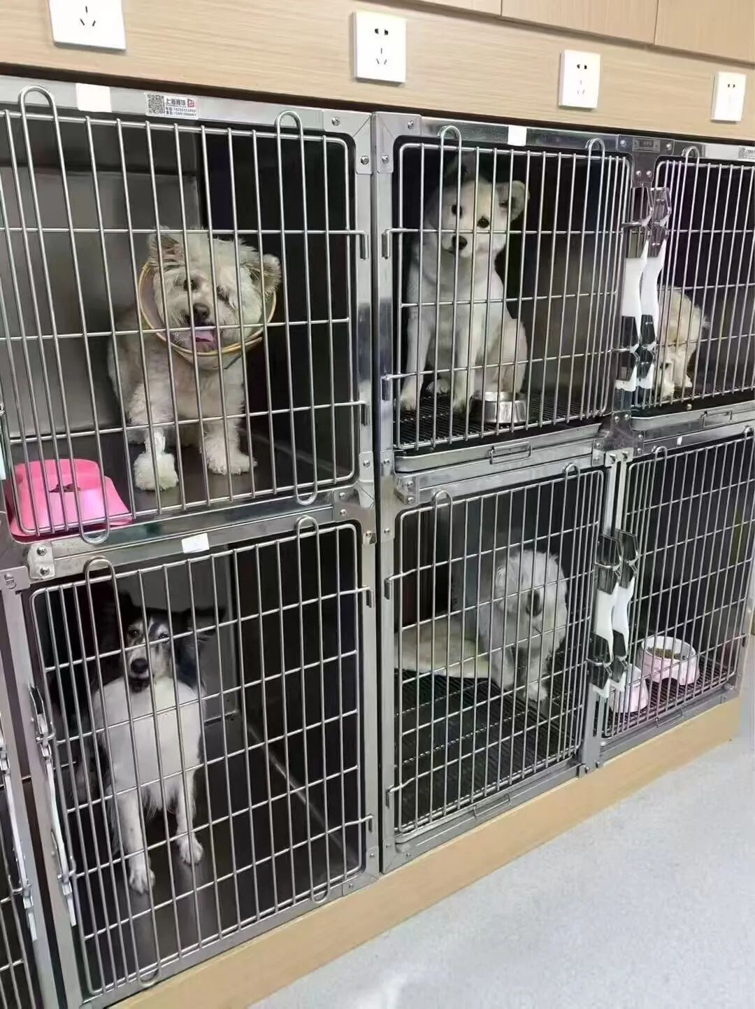 8天能赚上万元!杭州老板忙疯,有人提前2月预定,商家已停止接单 8天能赚上万元!杭州老板忙疯,有人提前2月预定,商家已停止接单