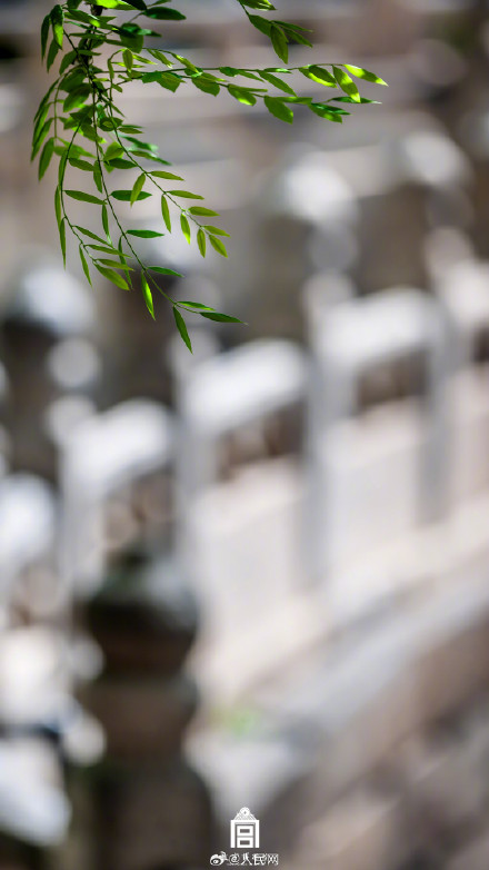 转存！故宫四季壁纸安排上了