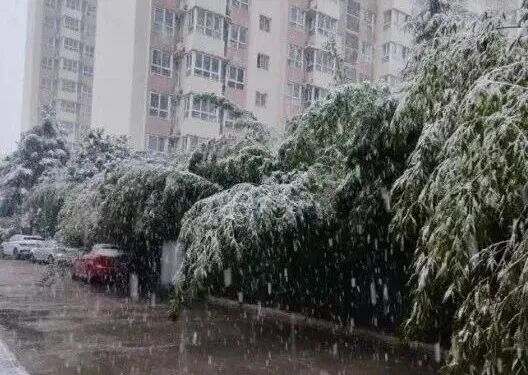 春节假期陕西将迎雨雪降温!局地中雪!西安最低-2℃! 春节假期陕西将迎雨雪降温!局地中雪!西安最低-2℃!