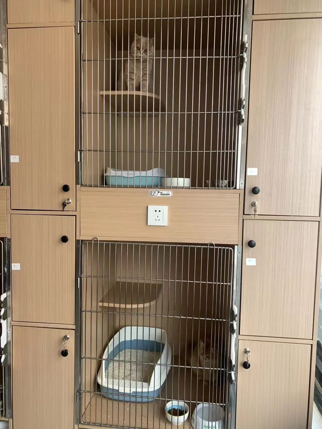 8天能赚上万元!杭州老板忙疯,有人提前2月预定,商家已停止接单 8天能赚上万元!杭州老板忙疯,有人提前2月预定,商家已停止接单