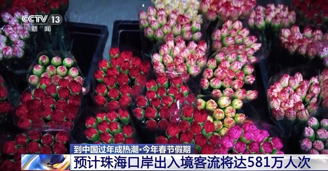 到中国过年成热潮 外国旅客：聚在一起庆祝春节真是太好了！