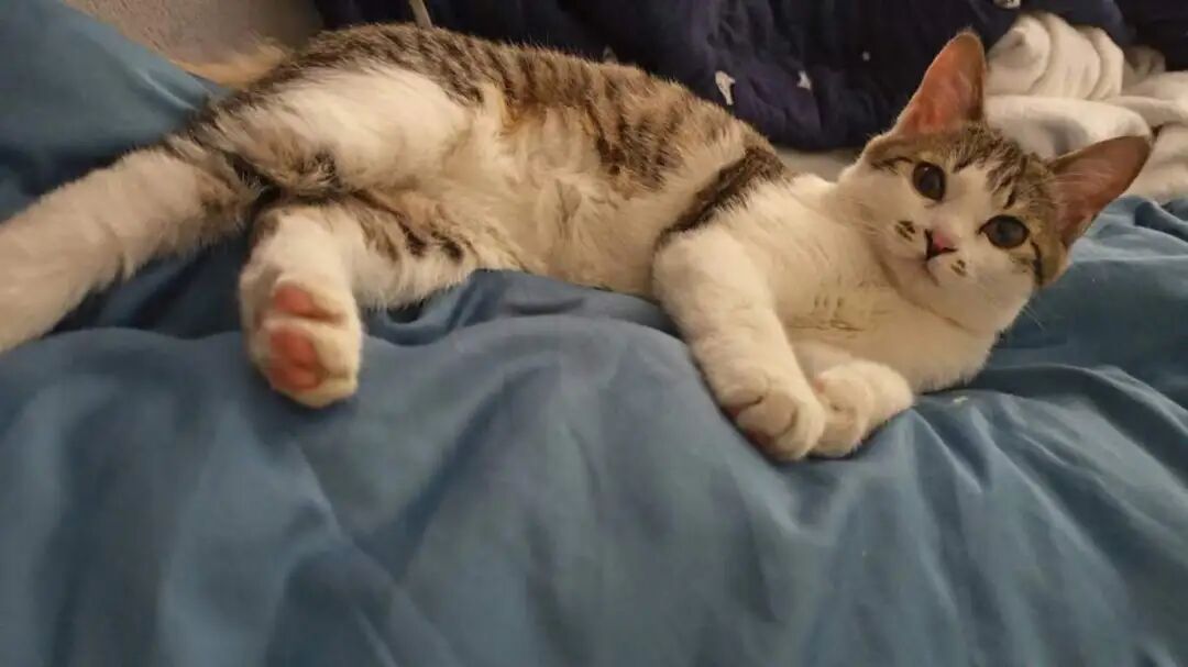 8天能赚上万元!杭州老板忙疯,有人提前2月预定,商家已停止接单 8天能赚上万元!杭州老板忙疯,有人提前2月预定,商家已停止接单