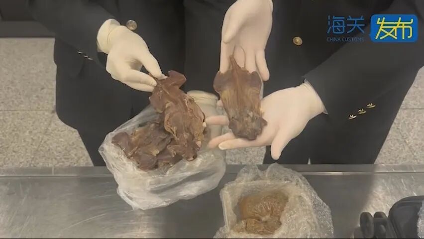 10斤老鼠肉干、酱汤泡蚂蚁卵等...当事人：都是自己吃的