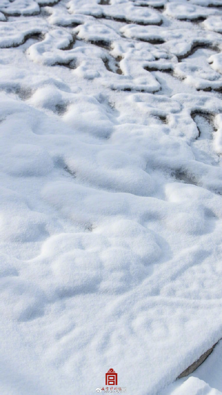 转存！故宫四季壁纸安排上了